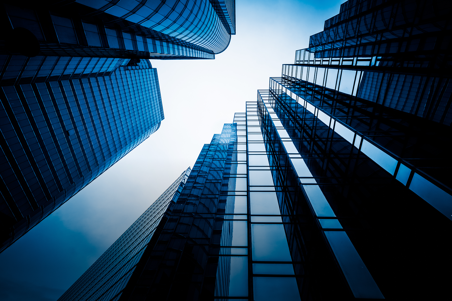 OMC Group completes dual-site digital showcase